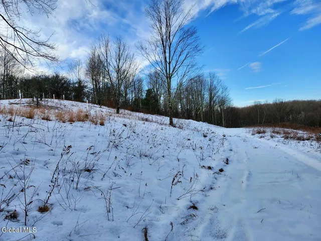 $225,000 | L15 State Route 22, Salem, NY 12865