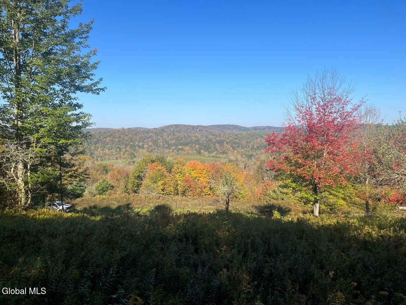 L15 State Route 22 Salem, NY 12865 - Photo 10 of 42 5