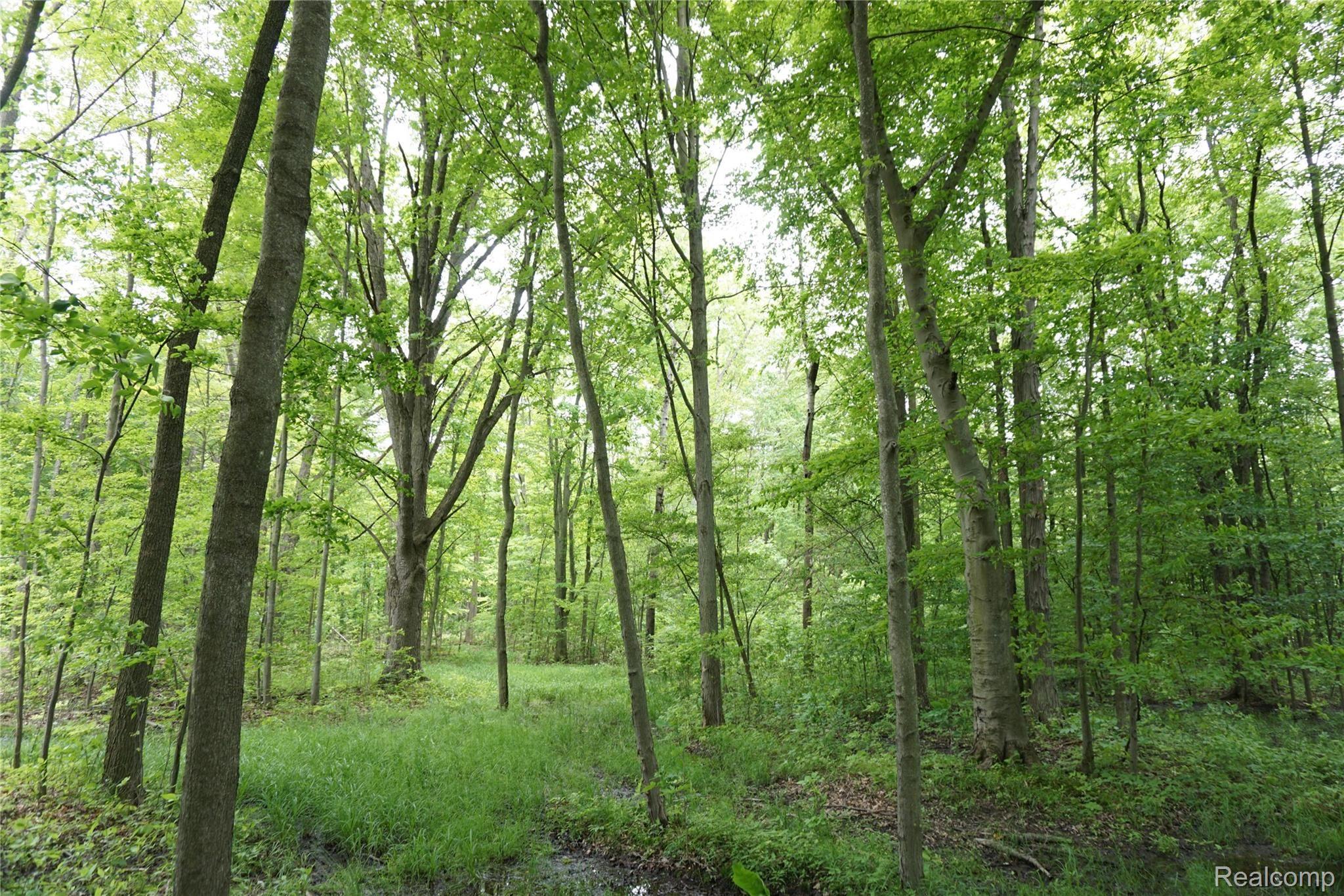 8866 Bricker Road Avoca, MI 48006 - Photo 4 of 51 8866 Bricker