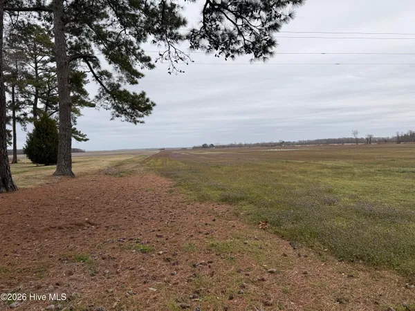 $298,000 | 0 Nc 99, Pantego, NC 27860