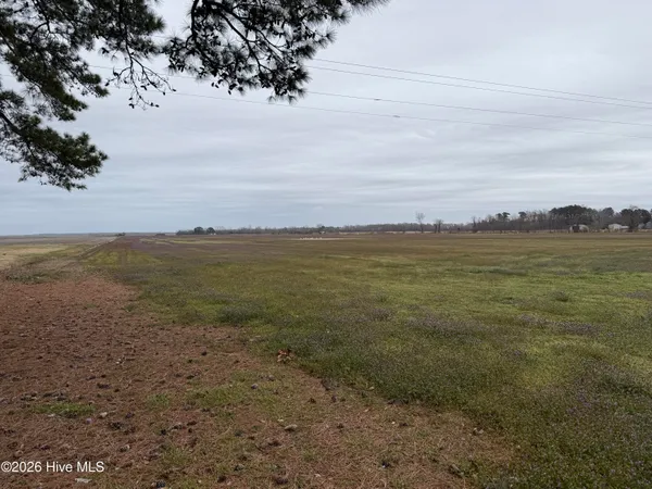 $298,000 | 0 Nc 99, Pantego, NC 27860