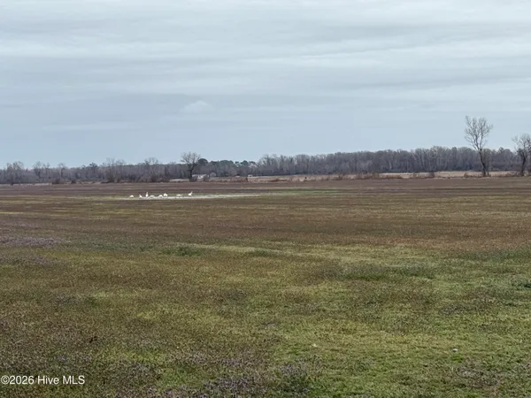 $298,000 | 0 Nc 99, Pantego, NC 27860