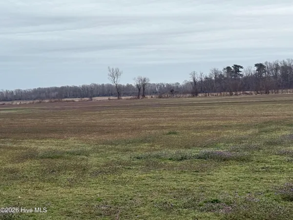 $298,000 | 0 Nc 99, Pantego, NC 27860