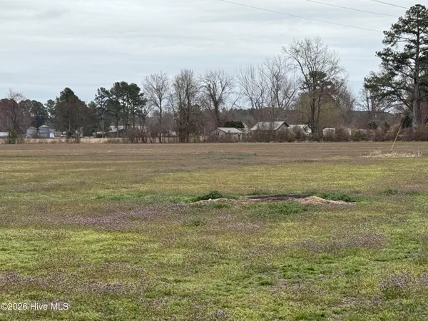 $298,000 | 0 Nc 99, Pantego, NC 27860