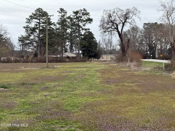 $298,000 | 0 Nc 99, Pantego, NC 27860