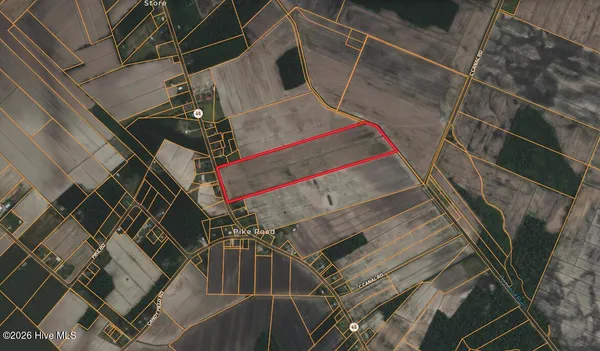 $298,000 | 0 Nc 99, Pantego, NC 27860