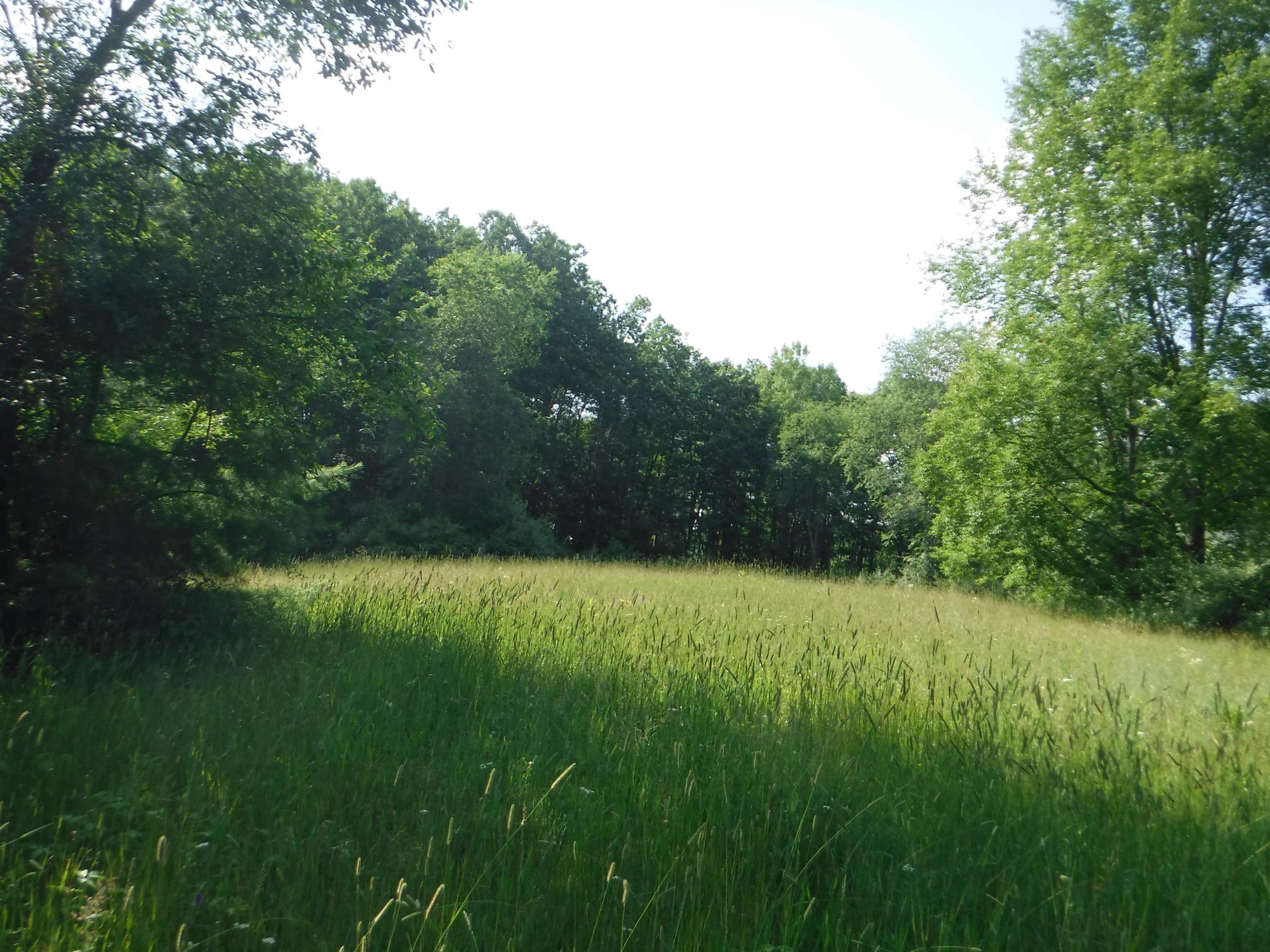 2750 South Poor Farm Road Greenbush, MI 48738 - Photo 4 of 10