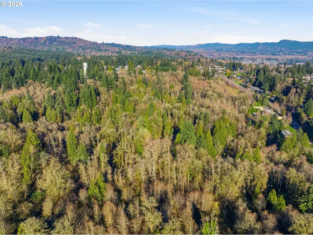 a view of a lush green field with lots of bushes