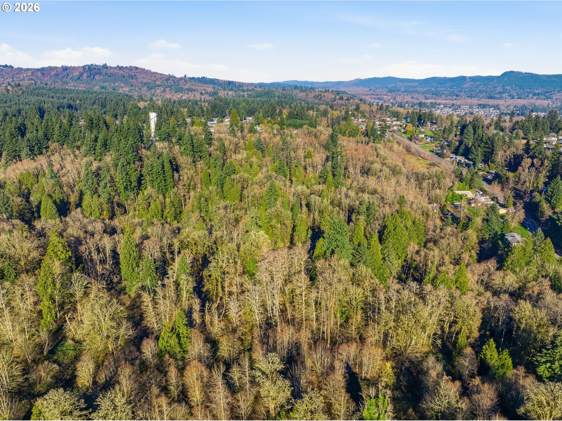 115 Alpha Drive Longview, WA 98632 - Photo 15 of 16 a view of a lush green field with lots of bushes