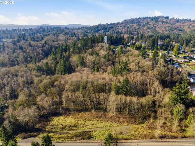 a view of city and mountain
