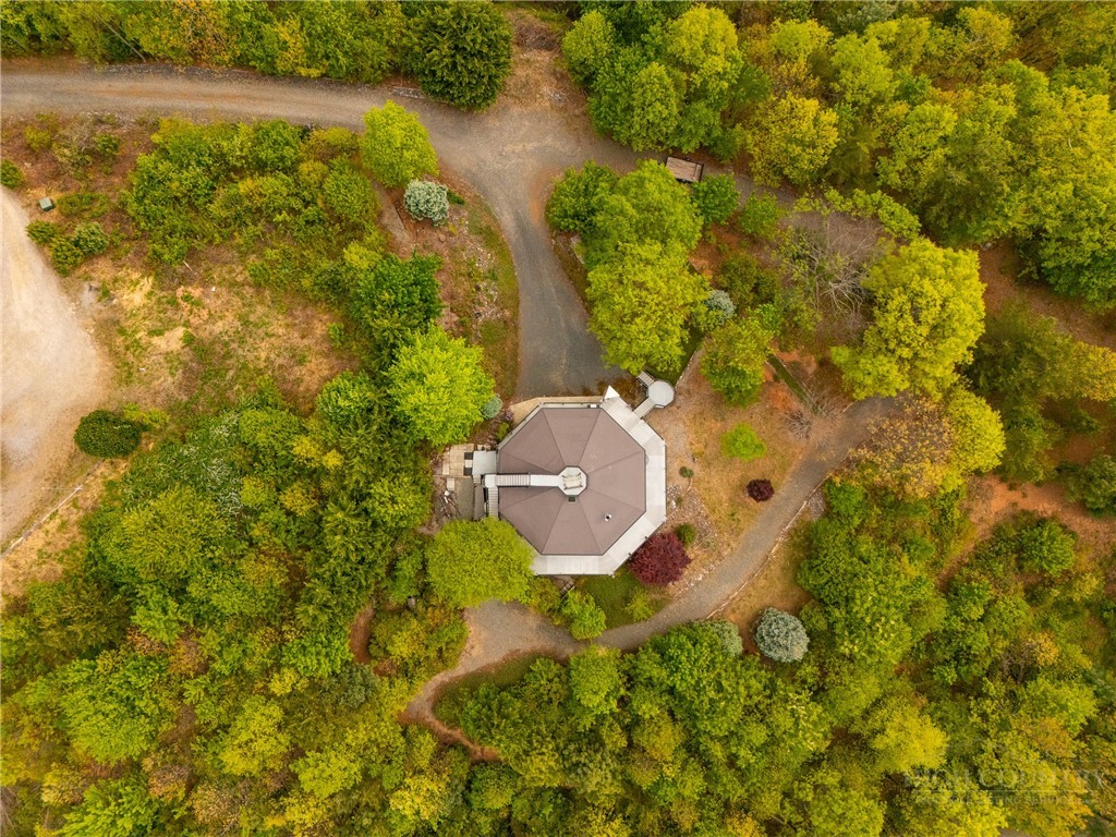 146 Cherokee Lane Purlear, NC 28665 - Photo 30 of 49 a aerial view of a house with swimming pool and large trees