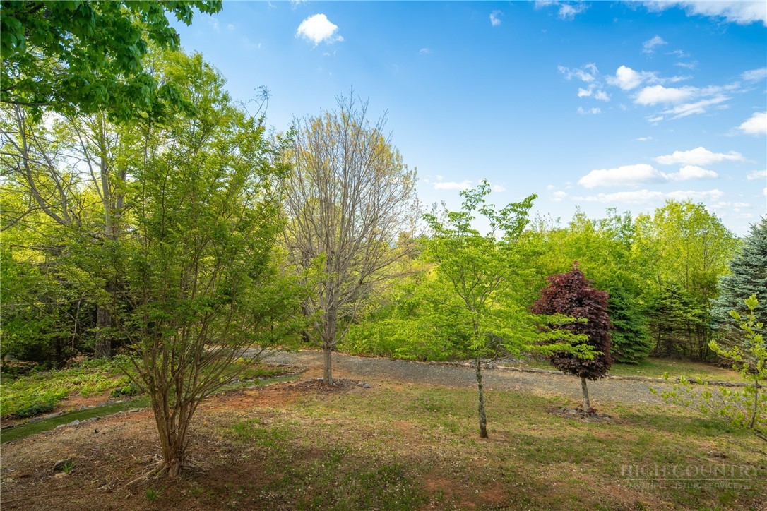 146 Cherokee Lane Purlear, NC 28665 - Photo 40 of 49 a view of a yard