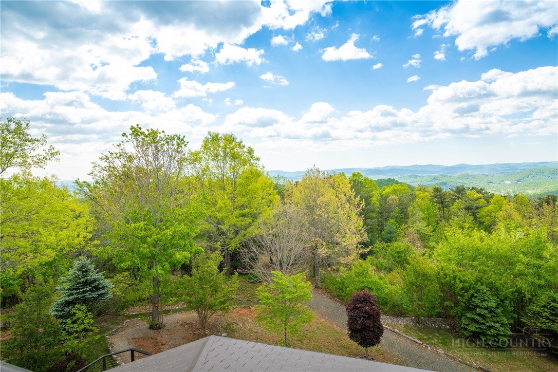 146 Cherokee Lane Purlear, NC 28665 - Photo 41 of 49 a view of a bunch of trees