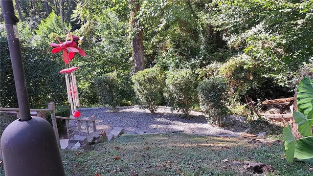 a flag is sitting in the middle of forest