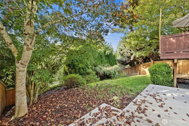 a view of a yard with plants and trees