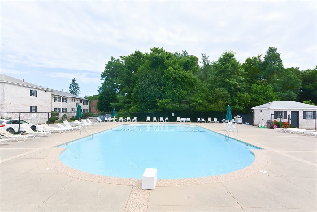 149 Lake Shore Road, Unit 2 Boston, MA 02135 - Photo 27 of 38 a view of a swimming pool and lounge chair