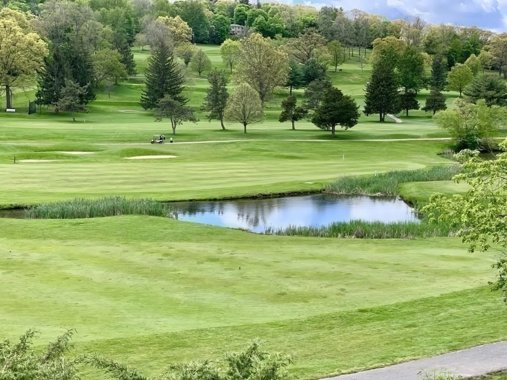 149 Lake Shore Road, Unit 2 Boston, MA 02135 - Photo 34 of 38 a view of a golf course with a lake view