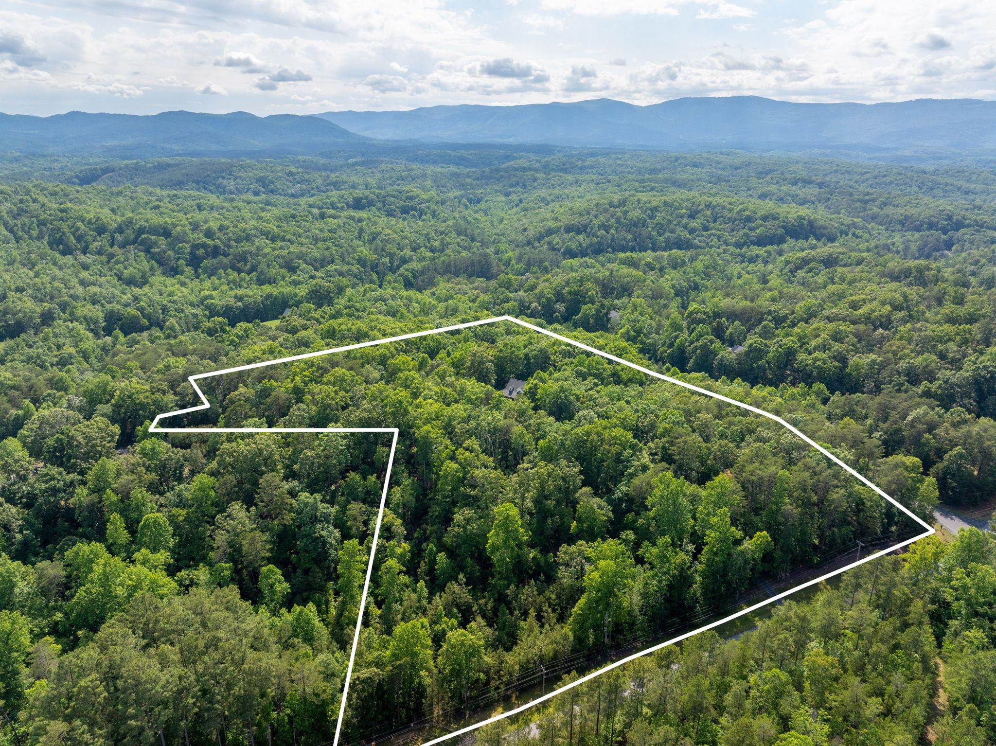 175 Green Hills Road Mill Spring, NC 28756 - Photo 48 of 50