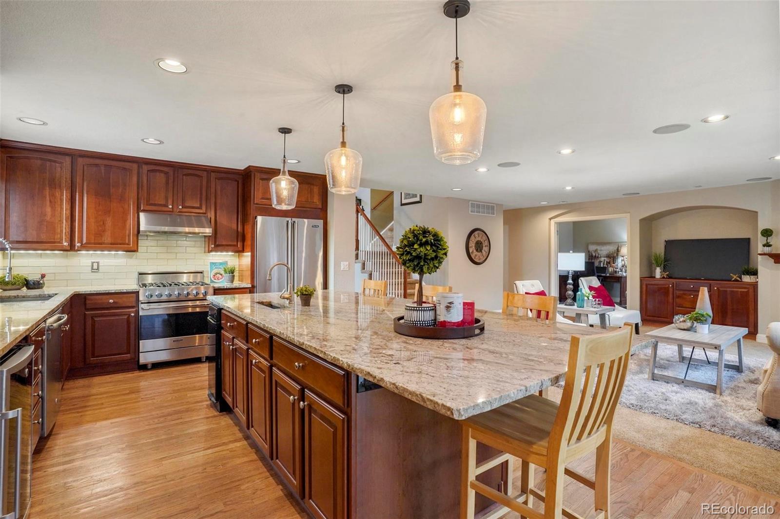 10277 Rustic Redwood Lane Highlands Ranch, CO 80126 - Photo 11 of 35 Gallery Image 11