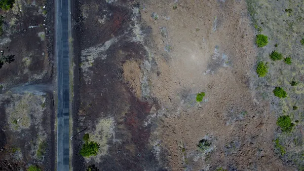 a close up of a tree
