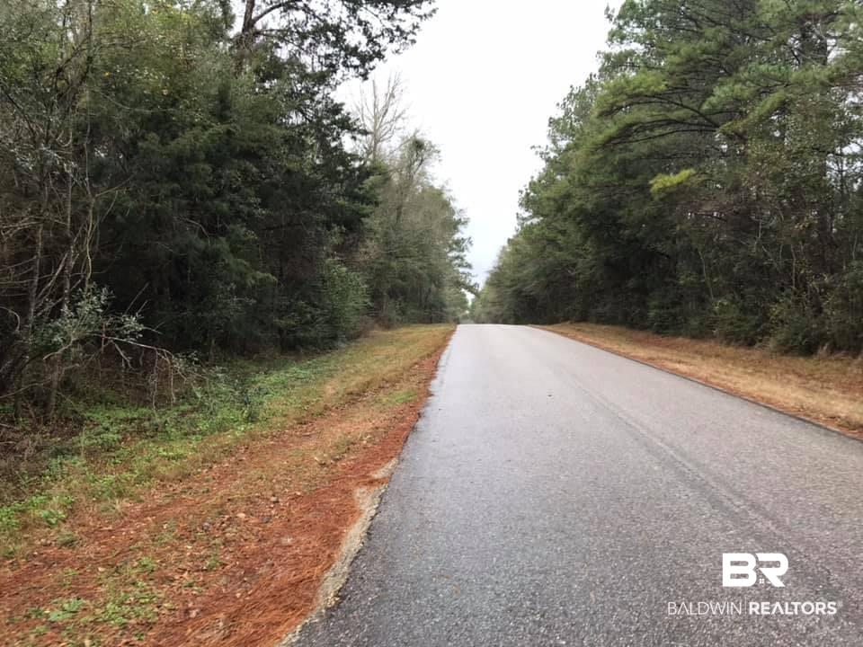 0 Hilliard Jenkins Road Loxley, AL 36551 - Photo 4 of 4