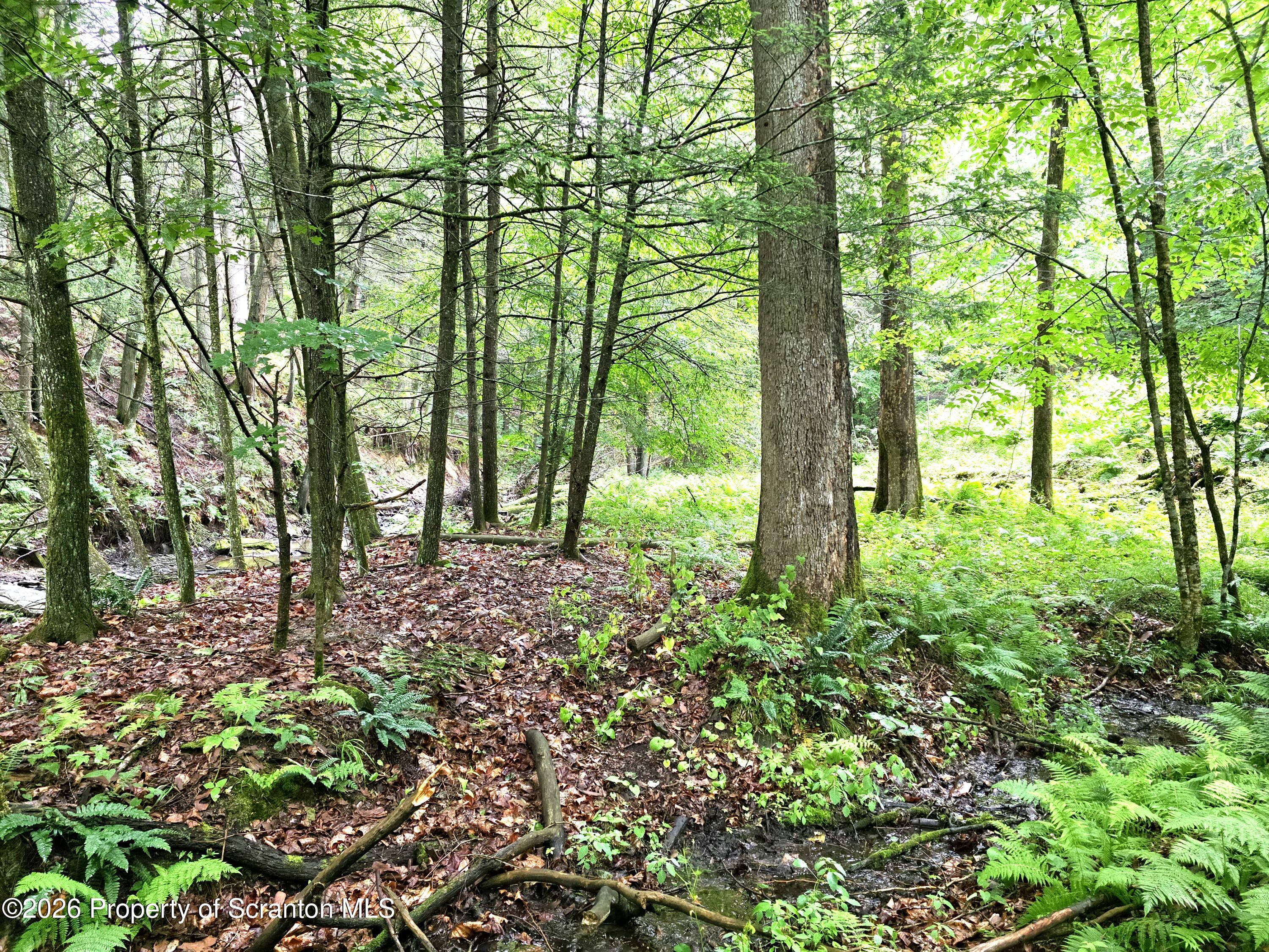 Pratt Hollow Road Nicholson, PA 18446 - Photo 16 of 18 Wood Rear