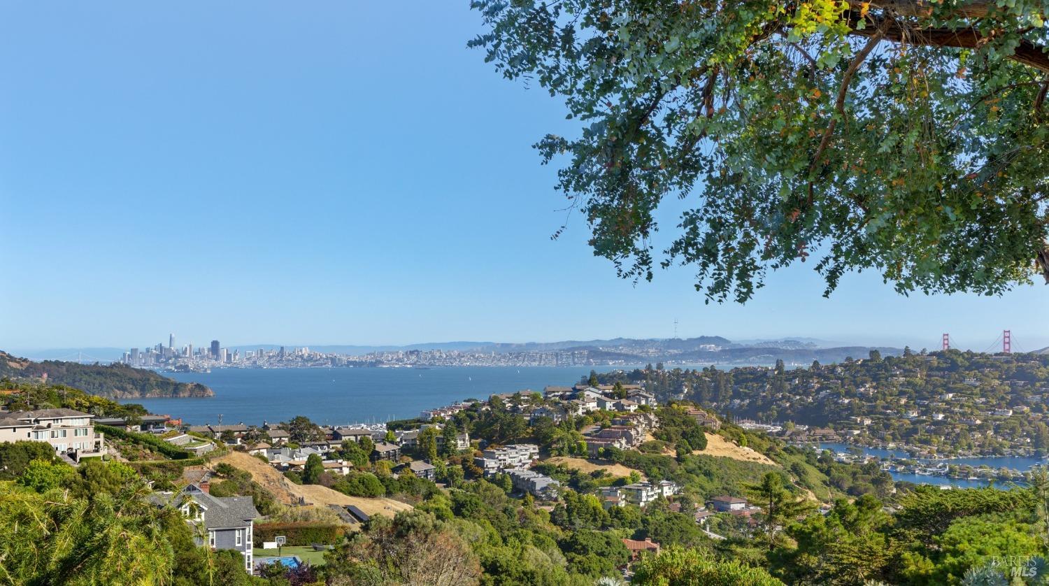 21 Tara Hill Road Tiburon, CA 94920 - Photo 3 of 52