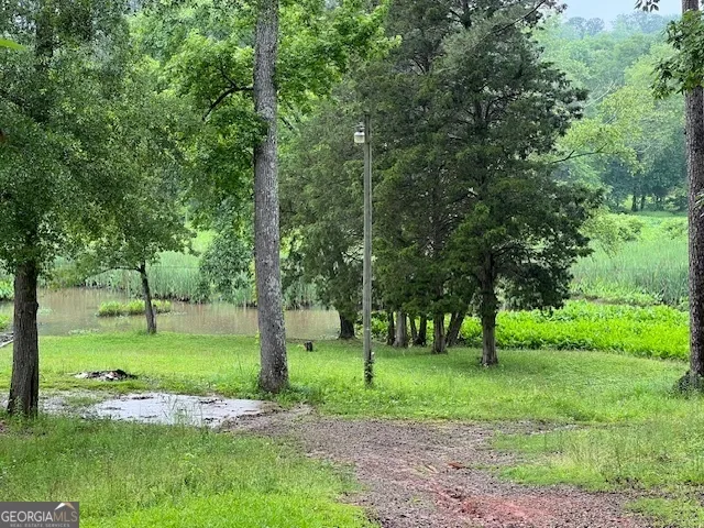 a view of a park with large trees