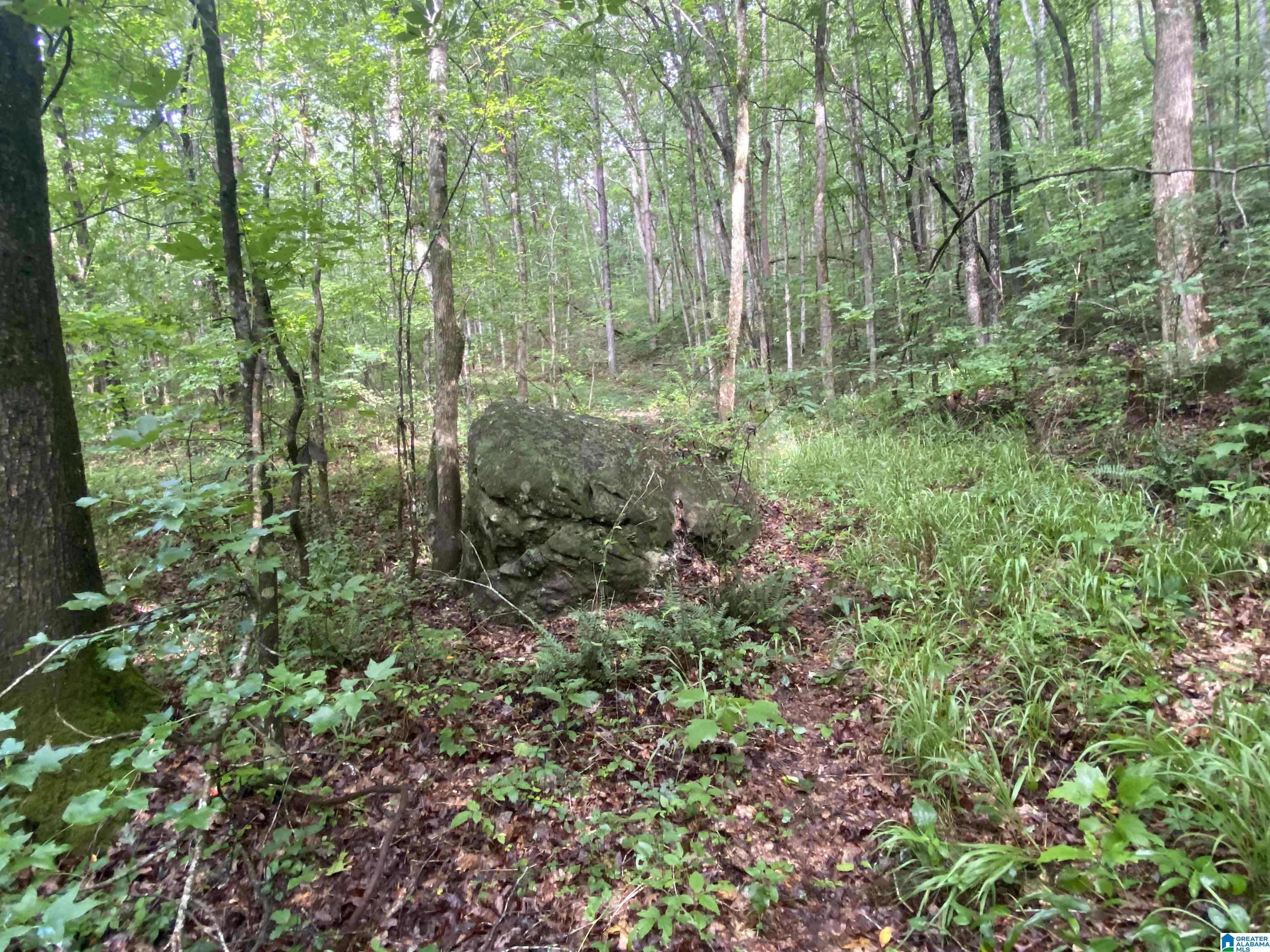 Bull Hollow Road, Unit 60 Odenville, AL 35120 - Photo 14 of 25