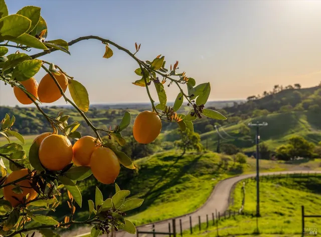 $1,299,000 | 8725 Quail Canyon Road, Vacaville, CA 95688