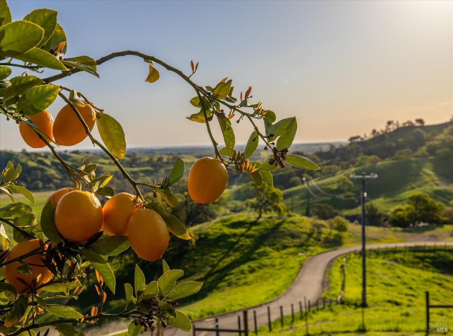 8725 Quail Canyon Road Vacaville, CA 95688 - Photo 2 of 78