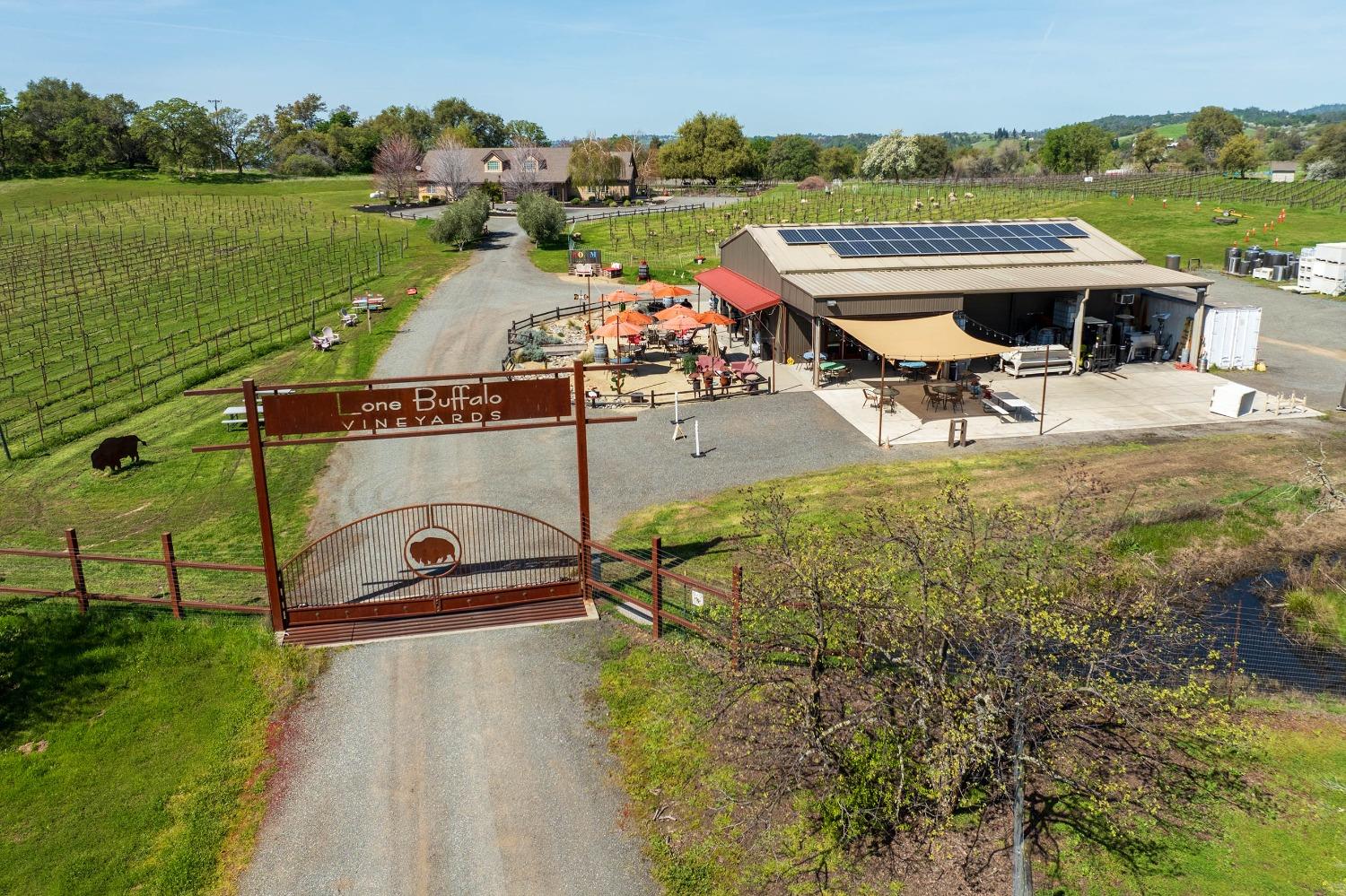 7505 Wise Road Auburn, CA 95603 - Photo 8 of 32