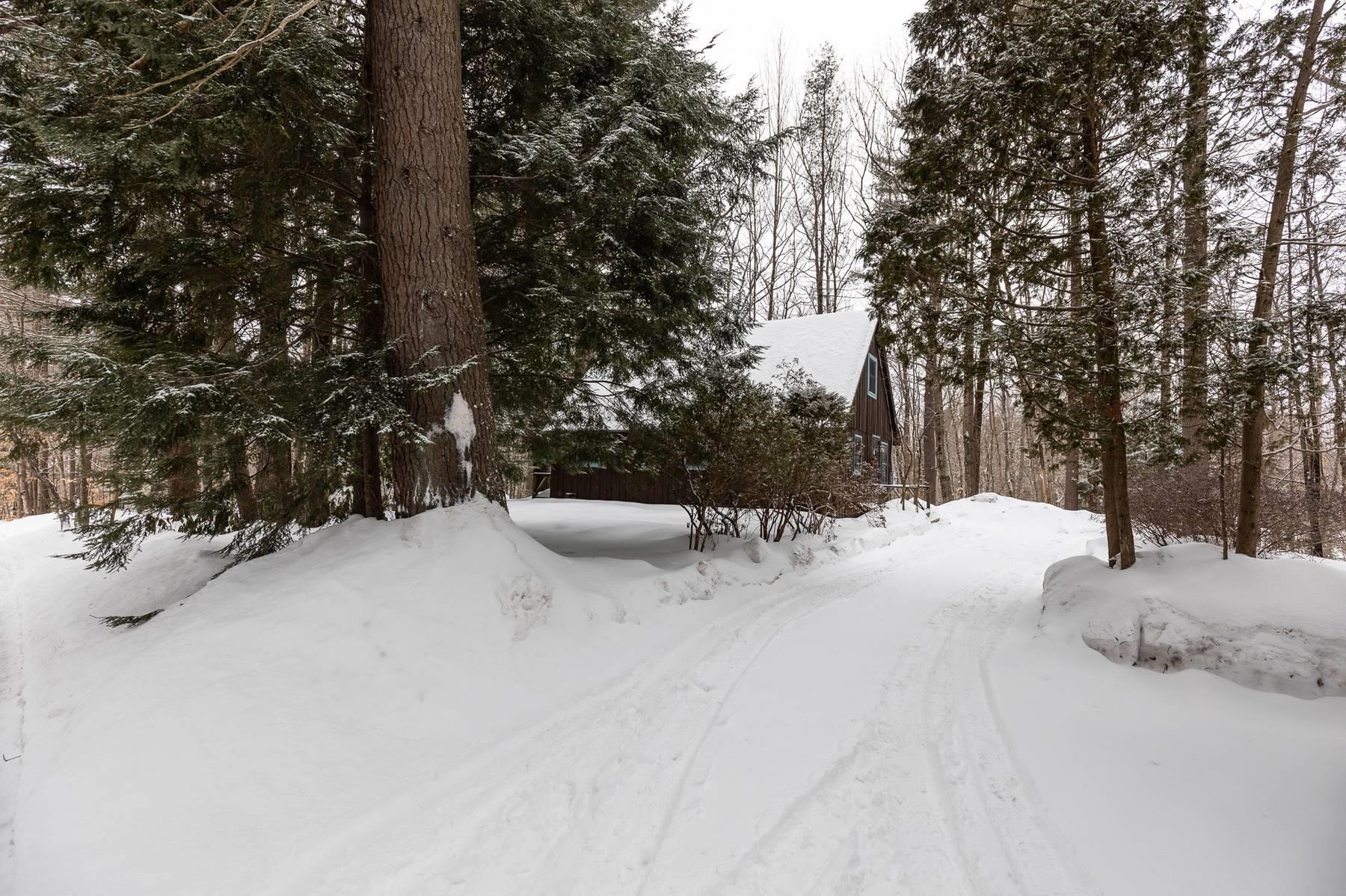 1063 Shedd Hill Road Stoddard, NH 03464 - Photo 6 of 45