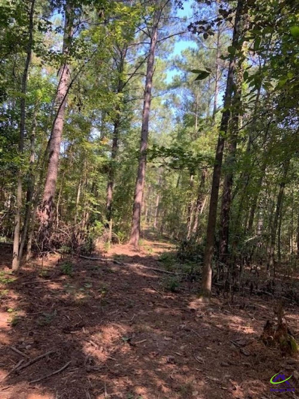 Grovania Road Elko, GA 31025 - Photo 11 of 23