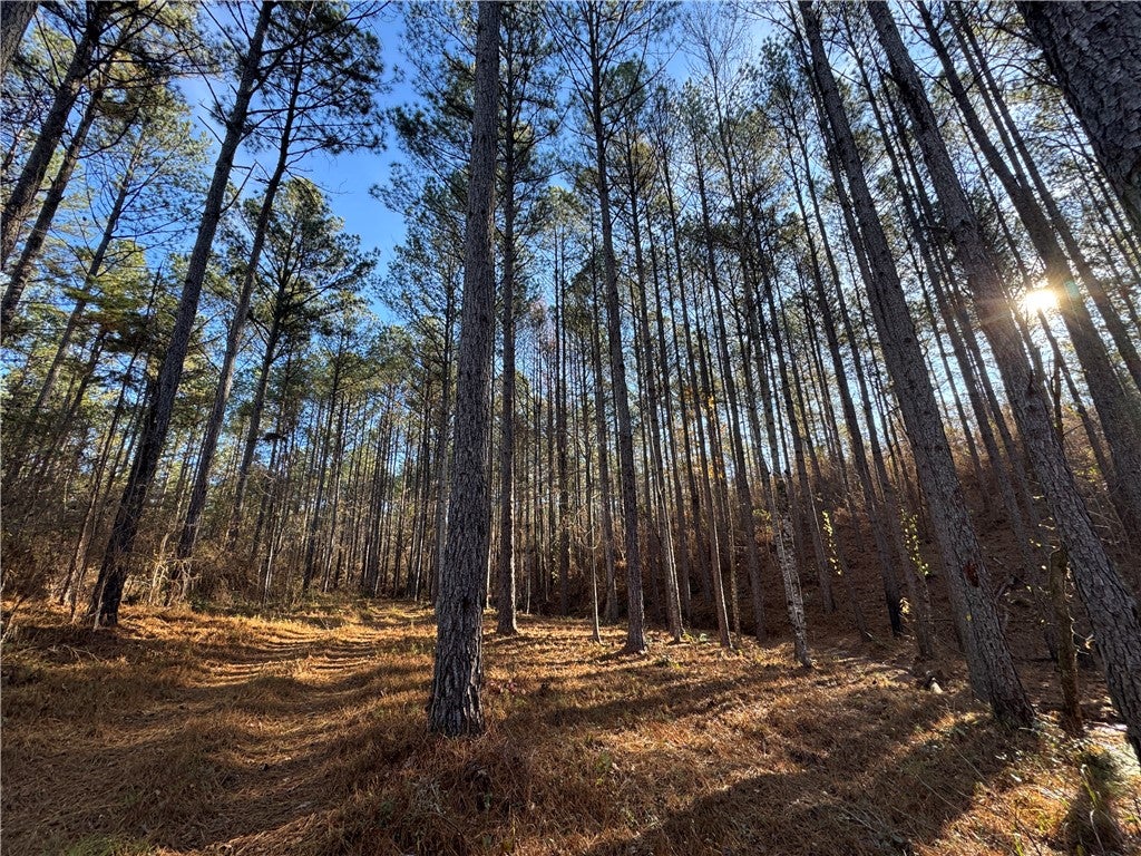 0 Farmville Road Camp Hill, AL 36850 - Photo 35 of 35 Gallery Image 35