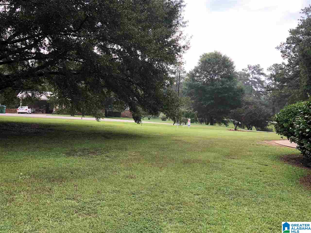 425 Mountainview Lake Road Sylacauga, AL 35150 - Photo 4 of 27