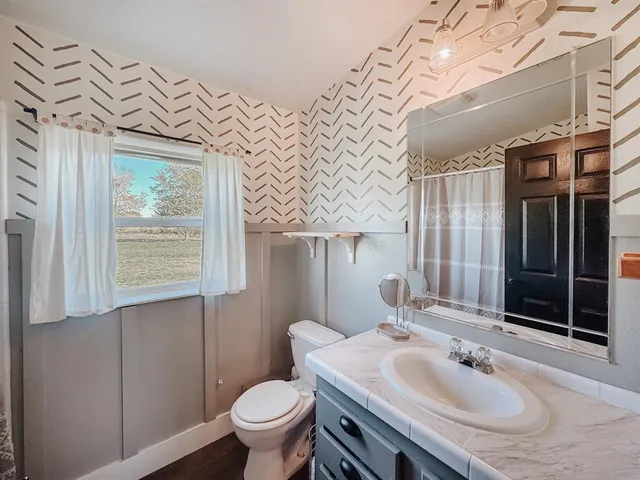 a bathroom with a sink a toilet and mirror