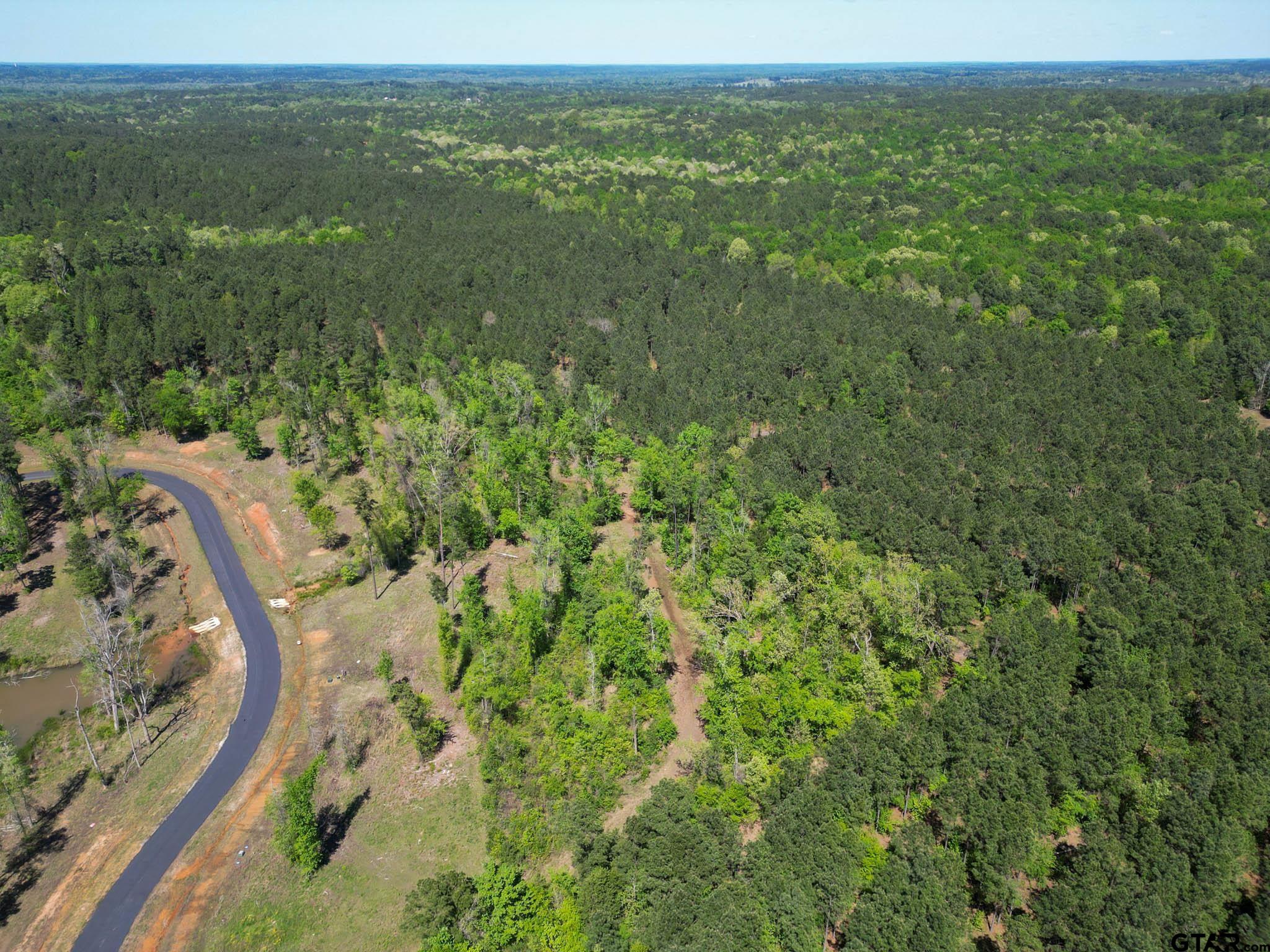 53 Marble Way Hallsville, TX 75650 - Photo 11 of 17 a view of a city with lush green forest