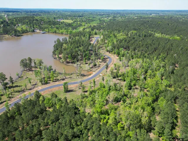 an aerial view of lake and residential houses with outdoor space and trees