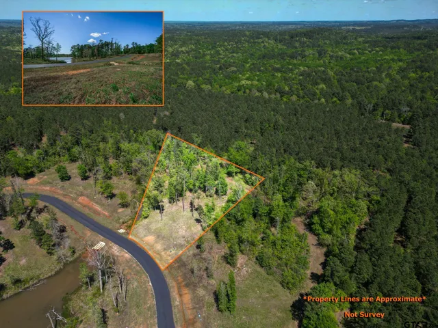 an aerial view of lake residential house with outdoor space and trees around