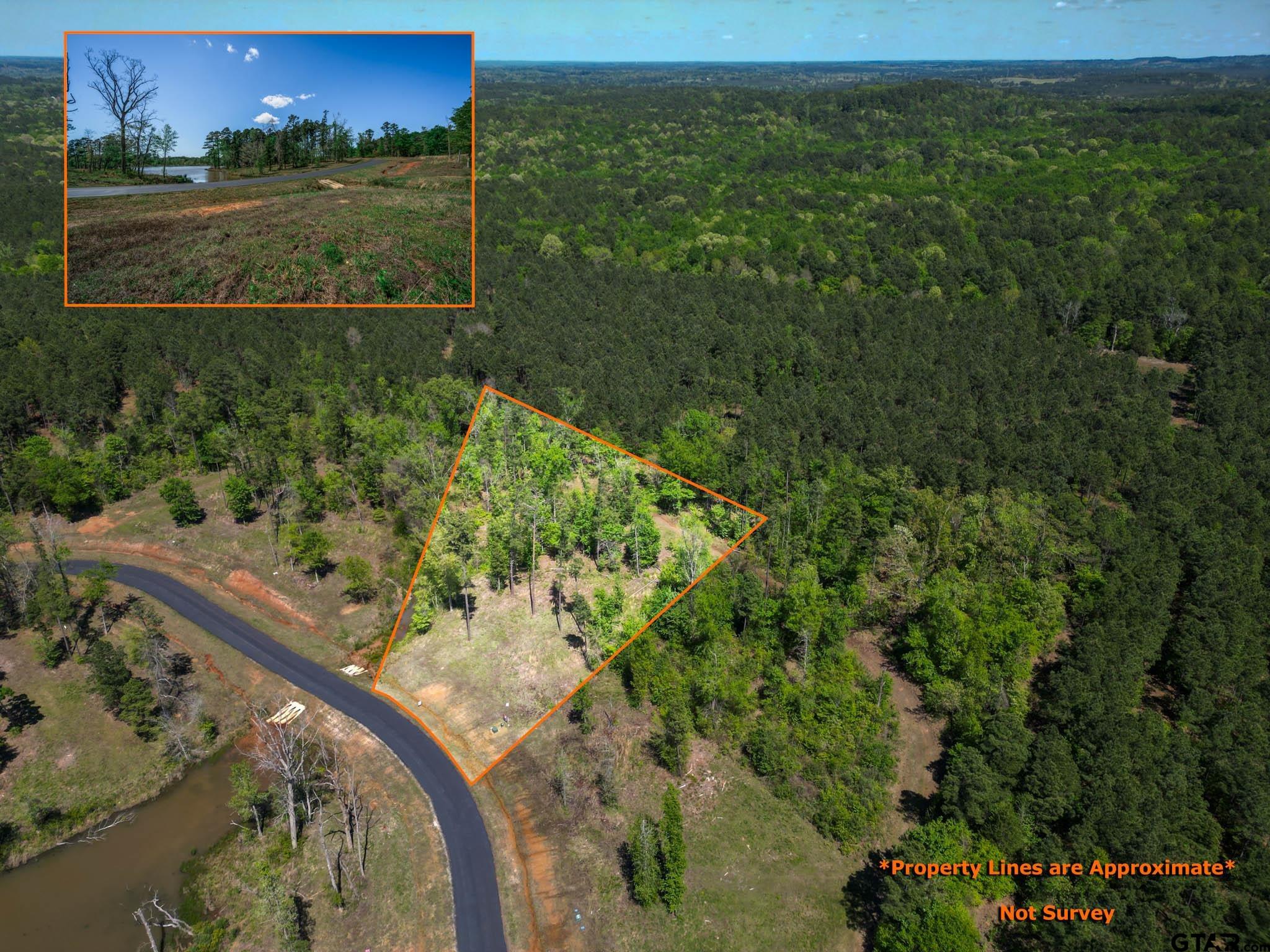 53 Marble Way Hallsville, TX 75650 - Photo 15 of 17 a view of a yard