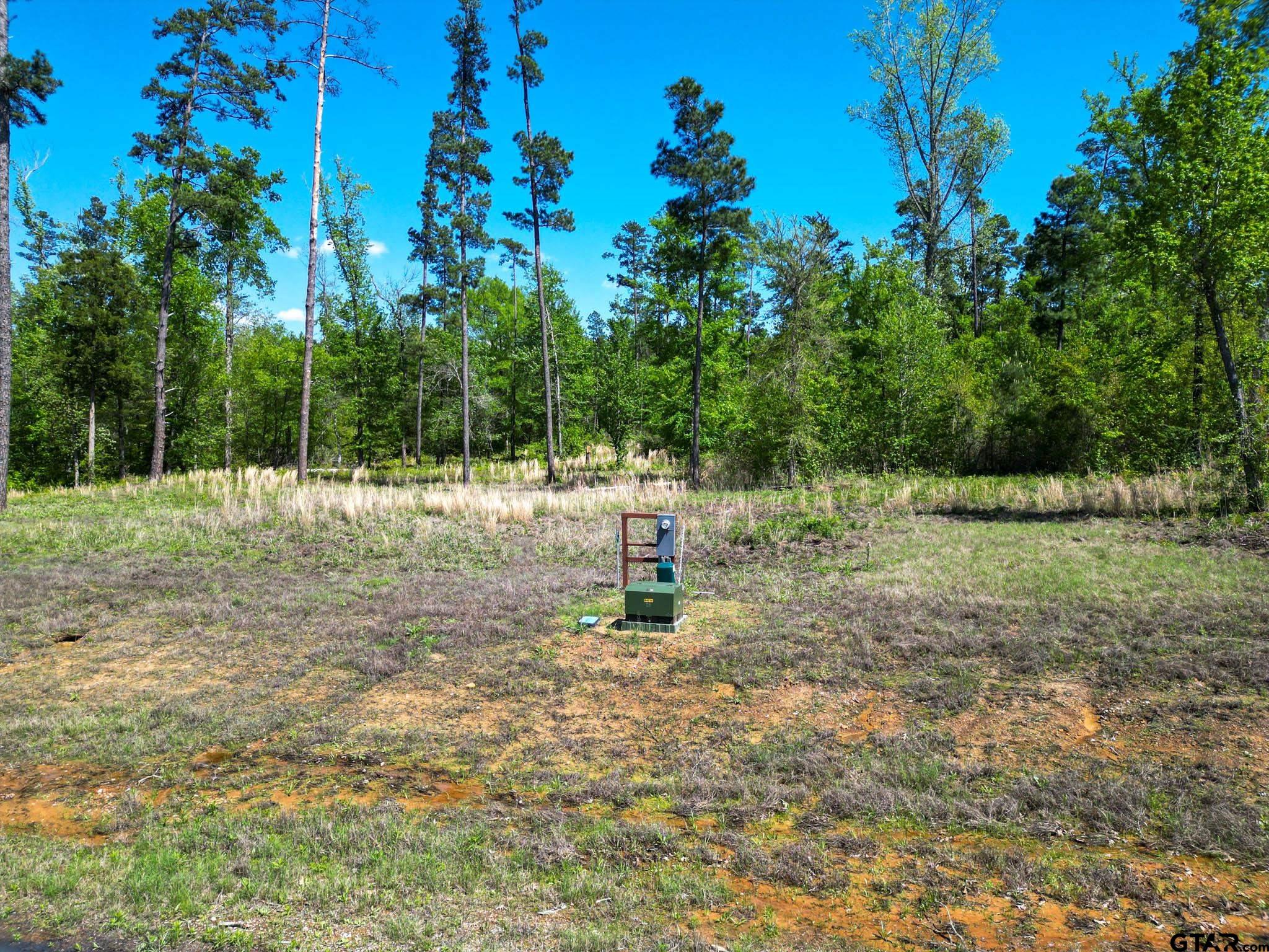 53 Marble Way Hallsville, TX 75650 - Photo 2 of 17 a garden view