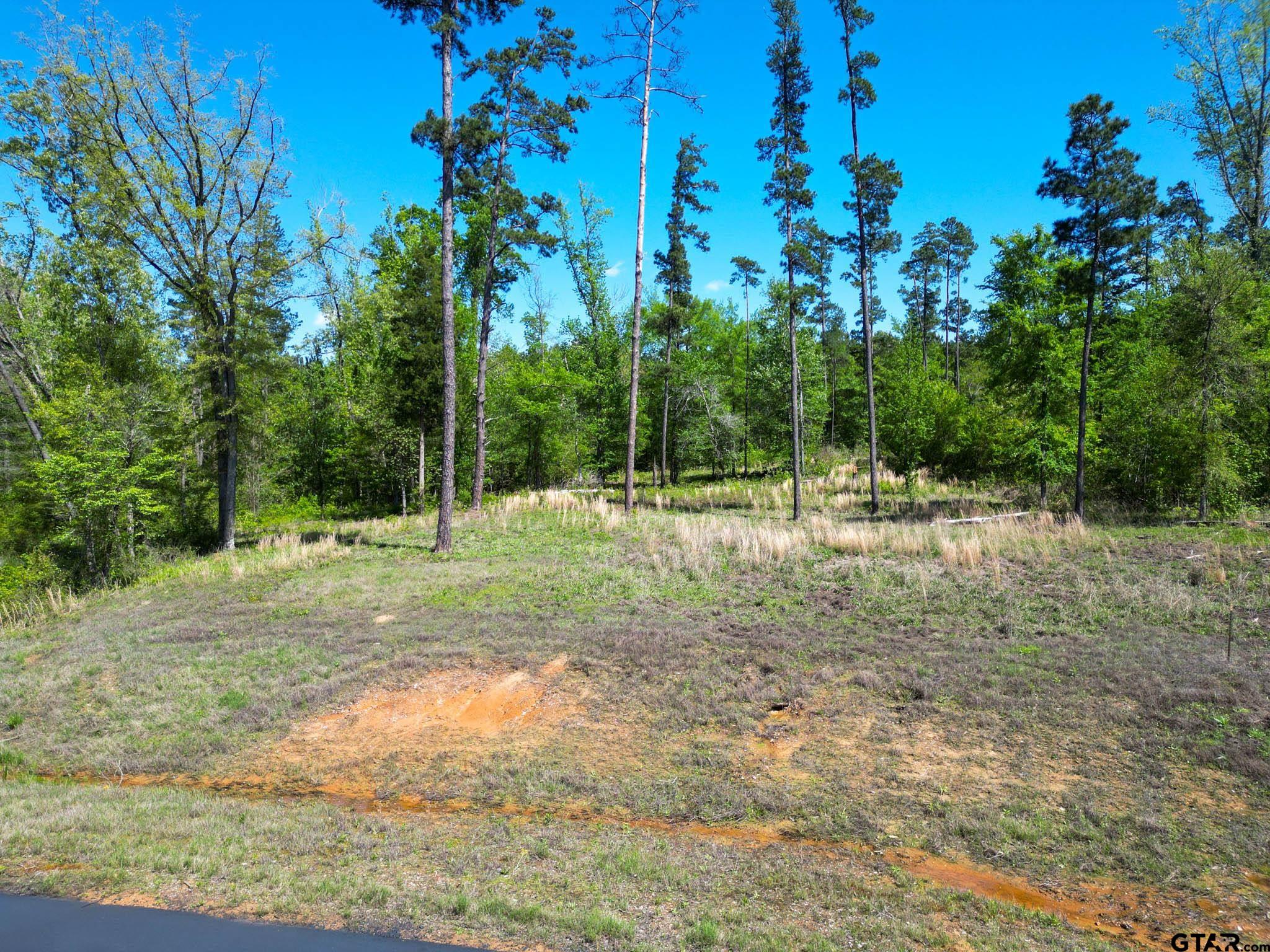 53 Marble Way Hallsville, TX 75650 - Photo 3 of 17 a view of outdoor space with trees