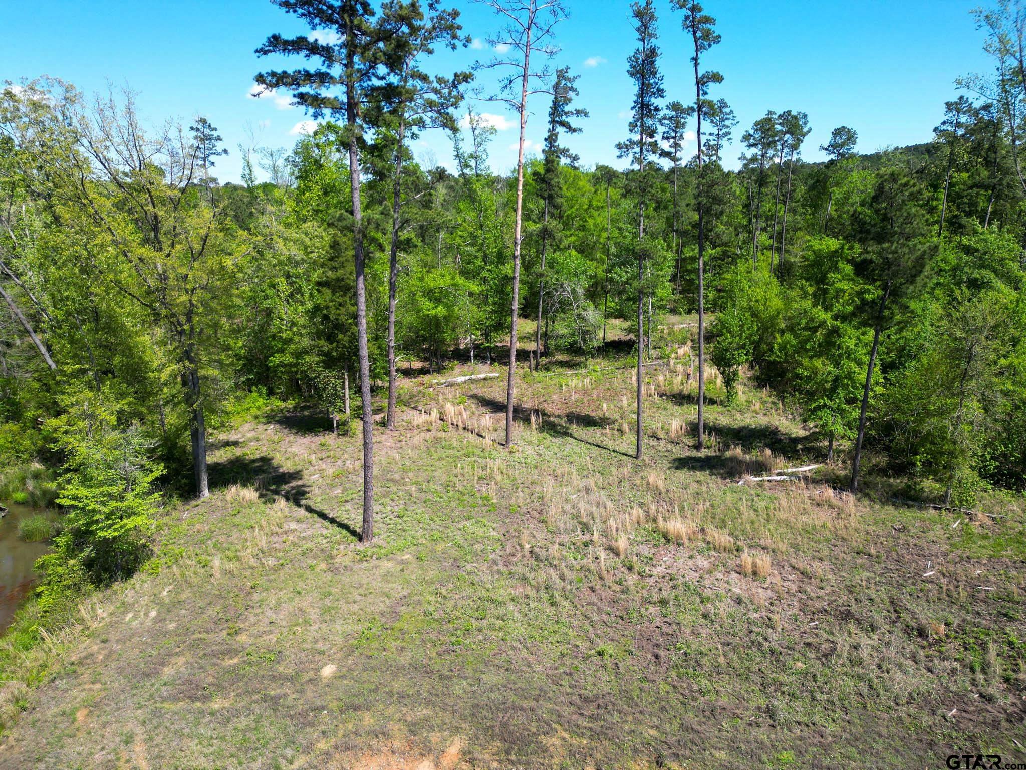 53 Marble Way Hallsville, TX 75650 - Photo 4 of 17 a view of a bench in the garden