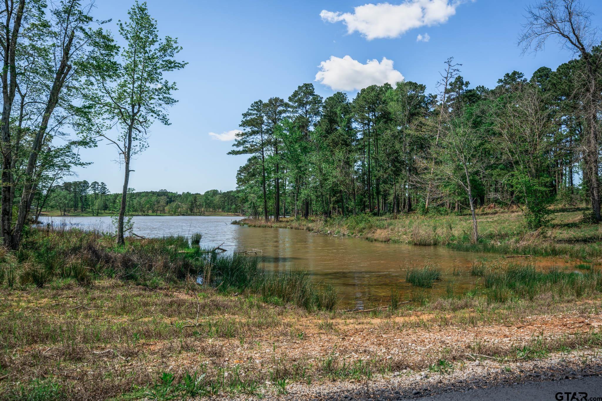 53 Marble Way Hallsville, TX 75650 - Photo 5 of 17 a view of lake