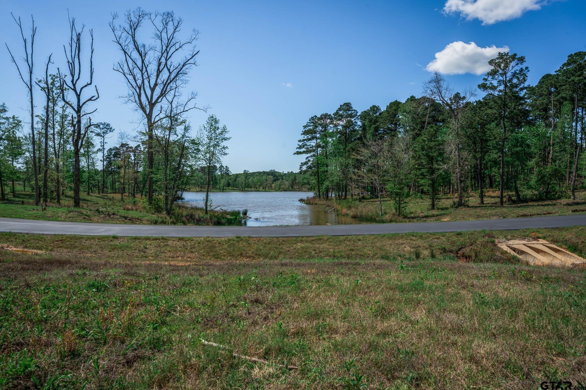 53 Marble Way Hallsville, TX 75650 - Photo 6 of 17 a view of backyard with green space