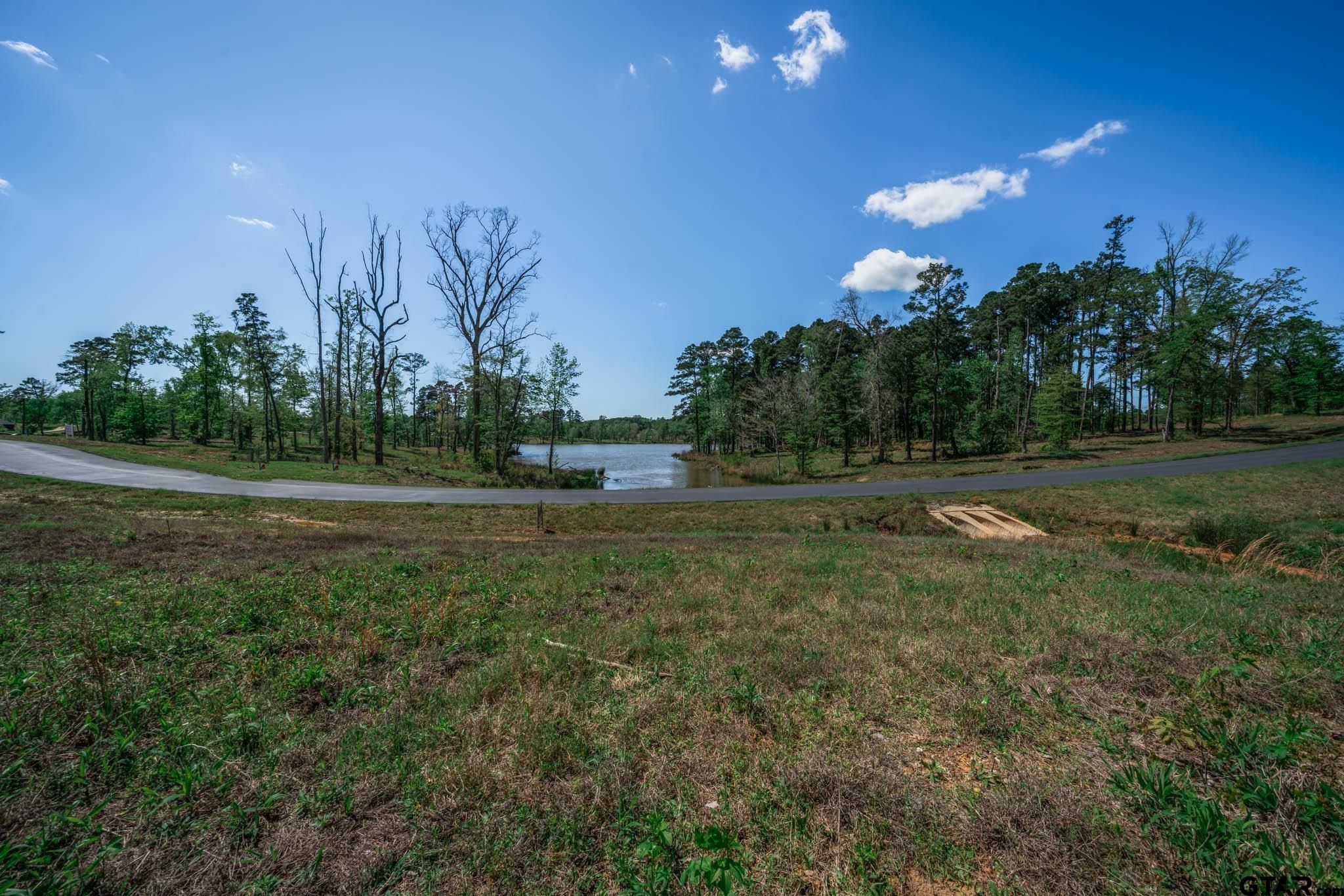 53 Marble Way Hallsville, TX 75650 - Photo 7 of 17 a view of a field