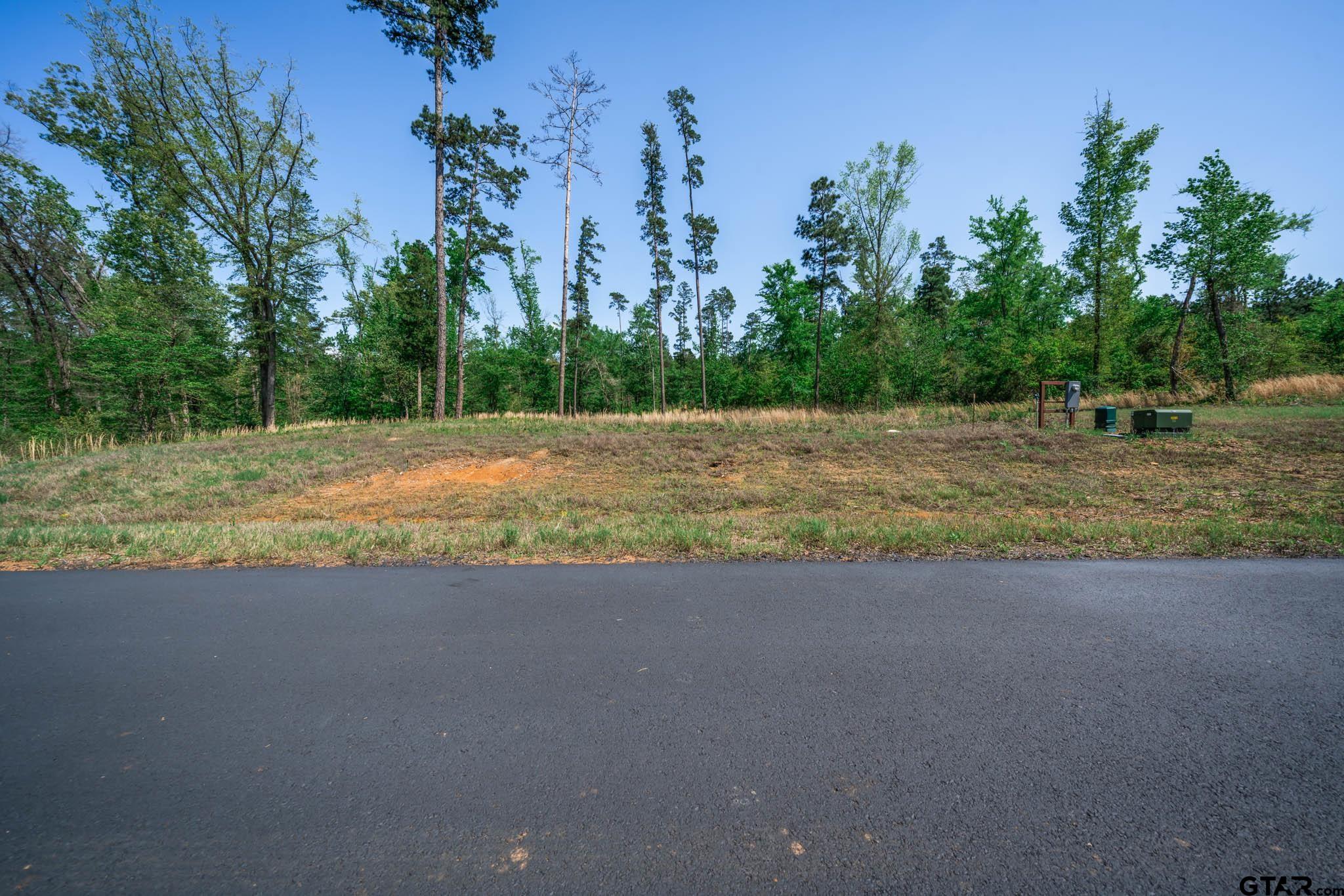 53 Marble Way Hallsville, TX 75650 - Photo 8 of 17 a view of a yard with a tree