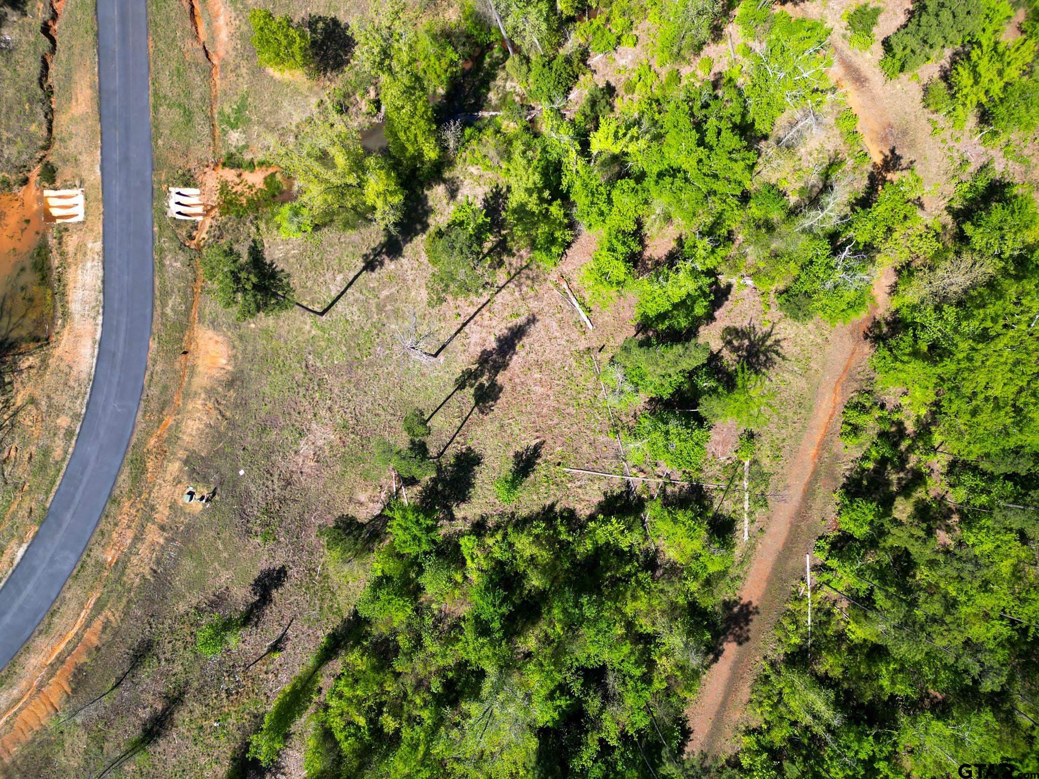 53 Marble Way Hallsville, TX 75650 - Photo 9 of 17 a view of a yard with a tree