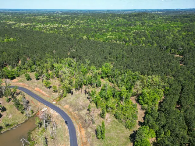 a view of a city with lush green forest